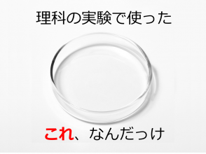 シャーレ