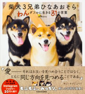Instagram,インスタ,SNS,人気,柴犬,3兄弟,ひなあおそら