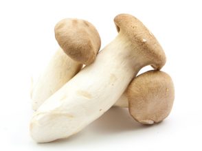 女子,好きなきのこ