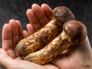 女子,好きなきのこ