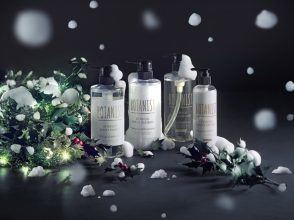 クリスマスコフレ2017,BOTANIST,ボタニスト,ヒイラギ