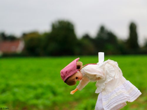リカちゃん,フランス,観光親善大使,旅行,写真