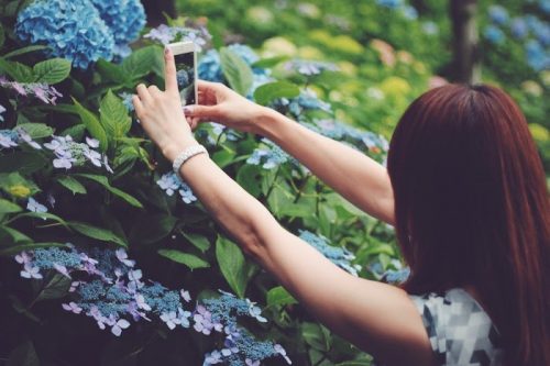 インスタ,Instagram,インスタ映え,SNS,写真,イマイチ