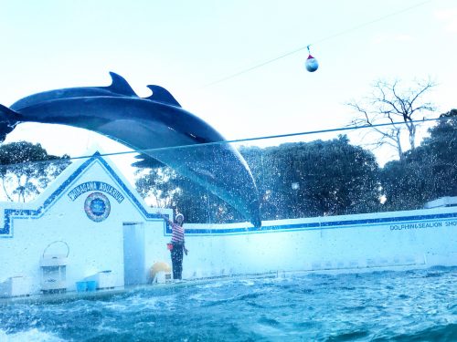 CanCam it girl,搗宮姫奈,しながわ水族館