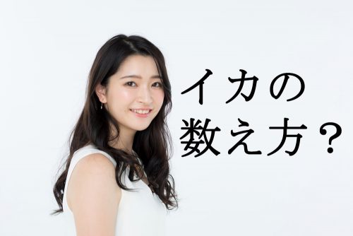 イカ,数え方,雑学,クイズ