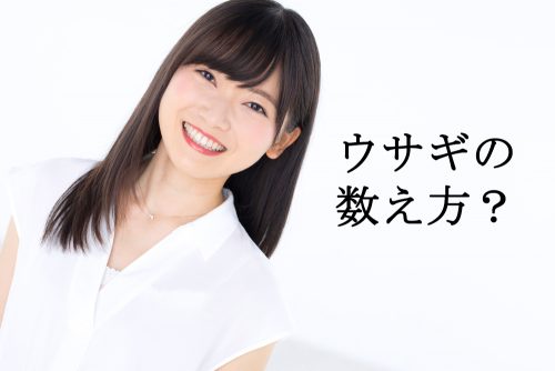 ウサギ,数え方,雑学,クイズ