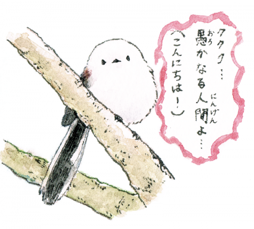 邪(よこシマ)エナガちゃん