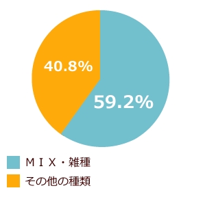猫,人気,種類,柄,調査,猫の日
