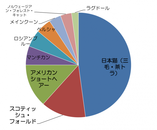 猫,人気,種類,柄,調査,猫の日