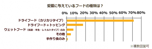 猫,人気,種類,柄,調査,猫の日,フード