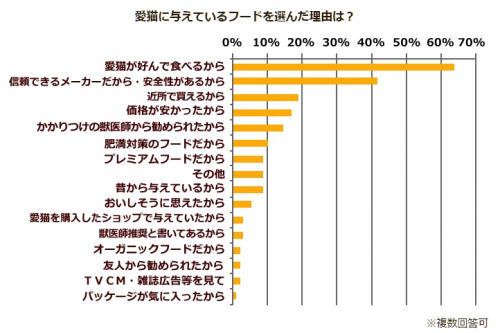 猫,人気,種類,柄,調査,猫の日,フード