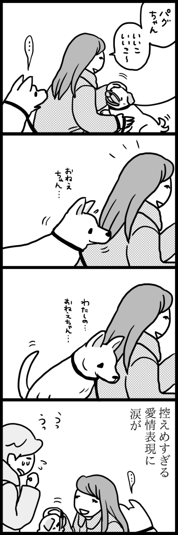 『わたしのおねえちゃん』