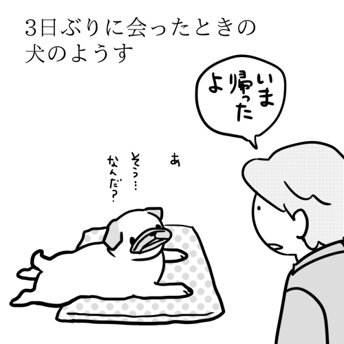 3日ぶりに会ったときの犬のようす