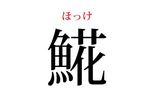 ほっけ