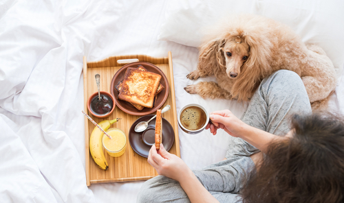 ベッドで朝ごはん