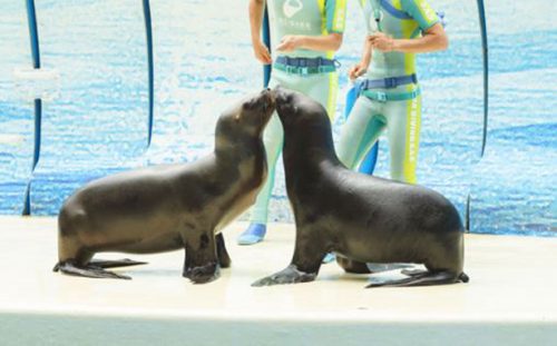 水族館