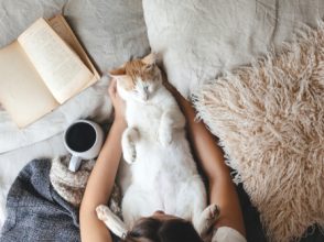 猫とのふれあい