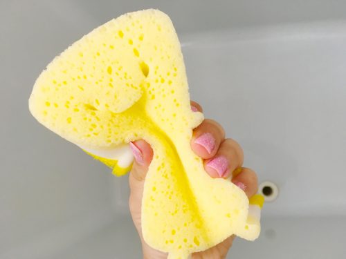 スポンジ