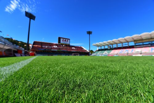 ピッチ、IAIスタジアム日本平