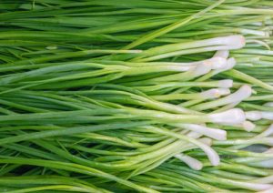 ほぼ同じに見える！「小ねぎ」「万能ねぎ」「わけぎ」「あさつき」って