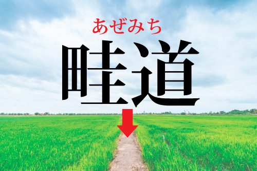 畦道の読み方