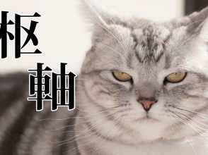 枢軸