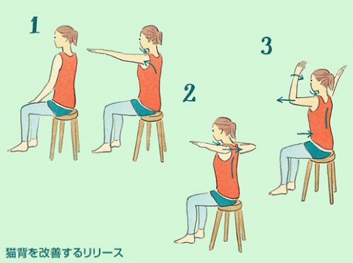 モテデコルテストレッチ