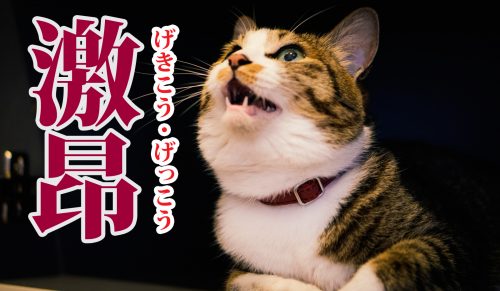 激昂の読み方