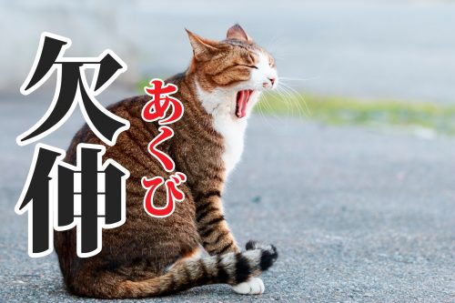 欠伸の読み方