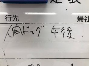 人間ドッグ