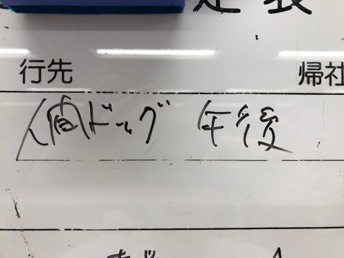 人間ドッグ