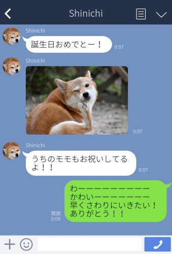 好きなものの写真