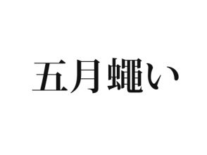 五月蠅い