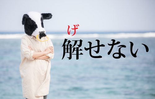 解せないの読み方