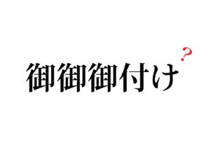 御御御付け