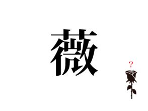 薇