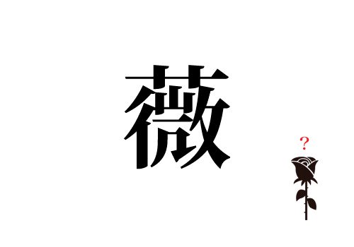 薇