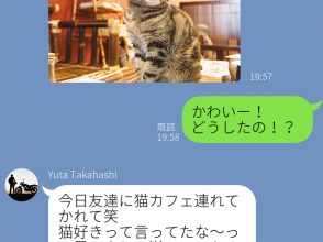 猫カフェ