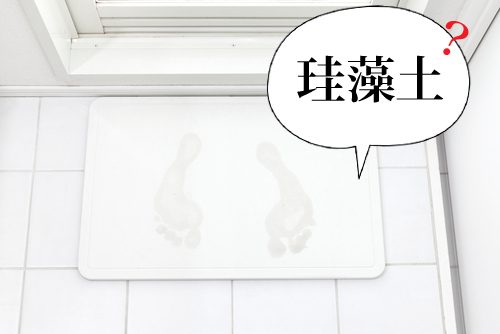 珪藻土