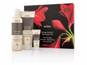 アヴェダ／DR ヘアケア ギフト