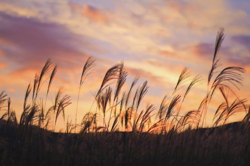 夕焼け