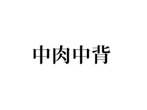 中肉中背