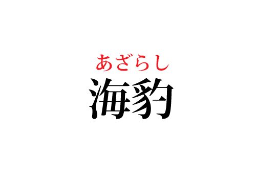 海豹の読み方