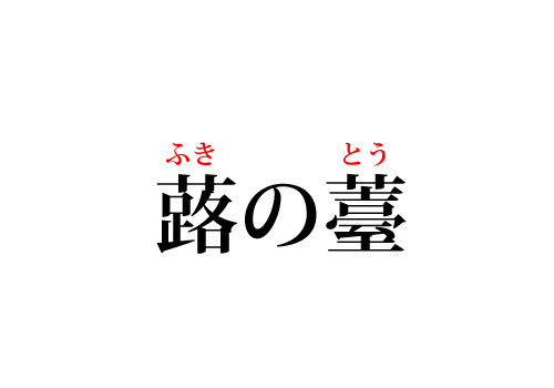 蕗の薹の読み方