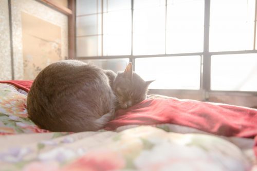 実家ありがたみあるある
