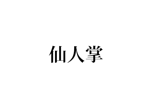仙人掌
