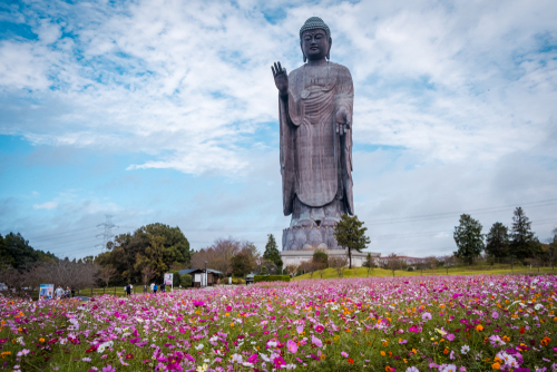 牛久大仏