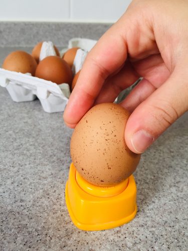 卵の穴あけ器使用例写真