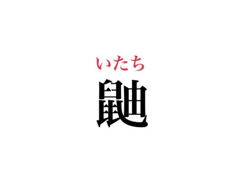 鼬の読み方