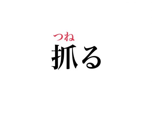 抓るの読み方